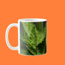Left-Handed Mint Photograph Mug