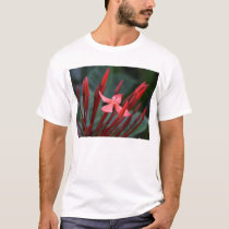 left out t-shirts