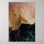 Left Shade Mushroom Poster