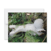 Leg Bone invitations