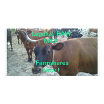 Legalize Raw Milk Farmshares Picture Card