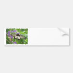 Legend of Butterflies Bumper Sticker