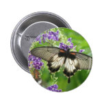Legend of Butterflies Button