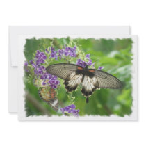 Legend of Butterflies Invitation