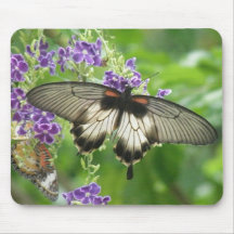 Legend of Butterflies Mousepad