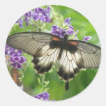 Legend of Butterflies Sticker