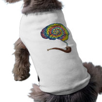 Legend of Graysmoke Dog Clothes