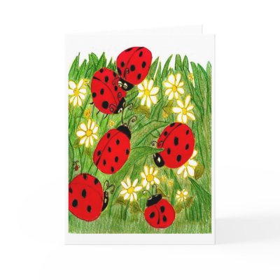 Legend of the Ladybug Greeting Cards by MedinaA42