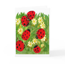 Legend of the Ladybug cards