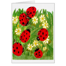 Legend of the Ladybug Greeting Cards