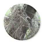 Legend of the Spanish Moss magnets