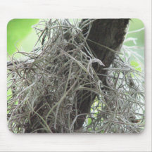 Legend of the Spanish Moss Mousepad