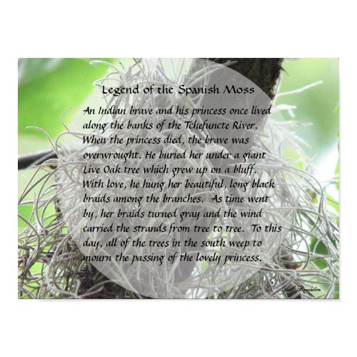 Legend of the Spanish Moss print