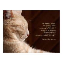 Legend of the Sphynx posters