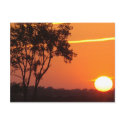 LEGENDS SUNSET postcards