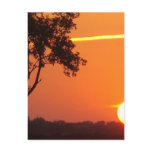 LEGENDS SUNSET POSTCARD