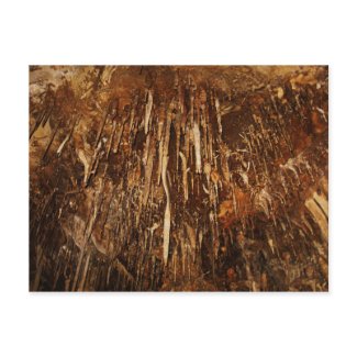 Lehman Cave postcard