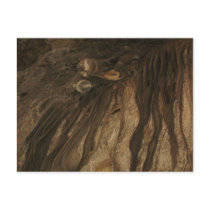 Lehman Caves postcards