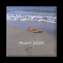 Lei at the Ocean magnets