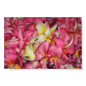 Lei Flowers for Luau posters by plellski Lei Flowers for Luau posters