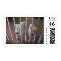 Lelia & Bet postage by dscustomf Lelia & Bet postage