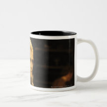 Lelogas Candid Coffee Mug