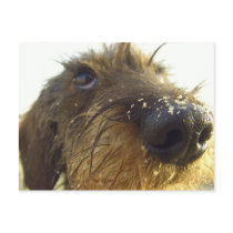 Lemme think about that..... postcards by Rainmountain Lemme think about that..... postcards