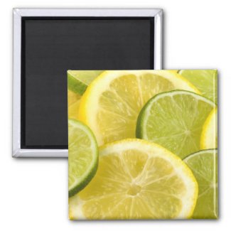 Lemon and Lime Slices Magnet