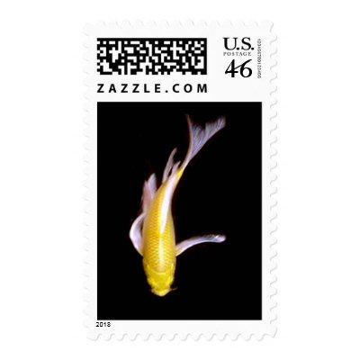 Lemon Butterfly Koi Stamp by Mindspins