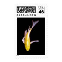Lemon Butterfly Koi postage