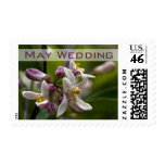 Lemon Flowers • May Wedding Stamp