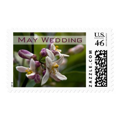 Lemon Flowers May Wedding Stamp