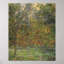 Lemon Grove in Bordighera by Claude Monet Print