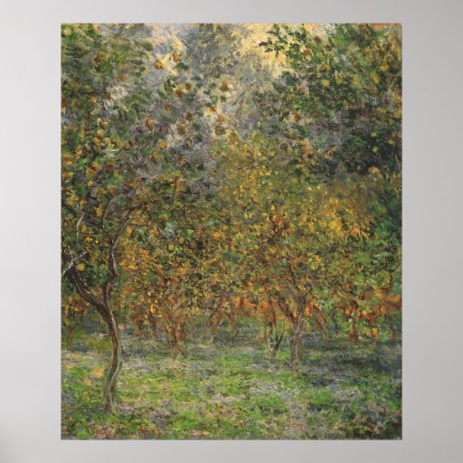 Lemon Grove in Bordighera by Claude Monet Print