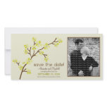 Lemon/Ivory Cherry Blossom Save the Date Photocard Photo Greeting Card