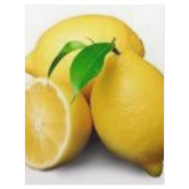 lemon letterhead by pyropenguin0 lemon letterhead