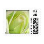 Lemon Lime Rose Small Wedding Postage Stamps