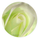 Lemon Lime Rose Wedding Envelope Seal stickers