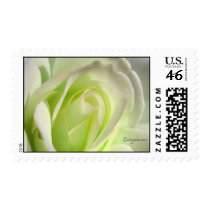 Lemon Lime Rose Wedding Postage