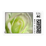 Lemon Lime Rose Wedding Postage