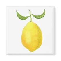 Lemon Magnet