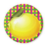 Lemon Plaid magnets