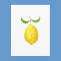 Lemon Postcard