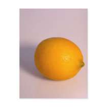 Lemon Postcard