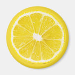lemon slice fridge magnet