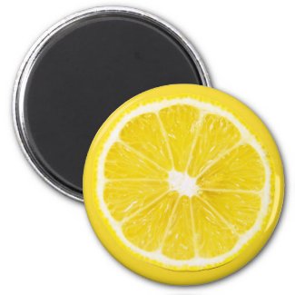 lemon slice fridge magnet