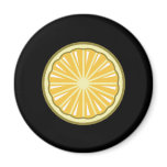 lemon slice magnets