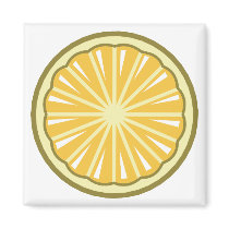lemon slice fridge magnets