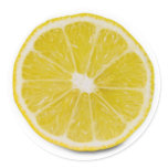 lemon slice stickers