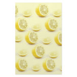 lemon stationary stationery design